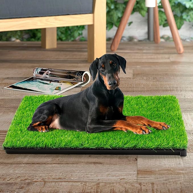 Dog Grass Potty，Dog grass pee pad，Indoor/Outdoor Portable Pet Loo with Tray，Medium Reusable Pet Litter Box Training Pads Toilet Tray with 2 Pcs Dog Grass Pee Pads for Replacement（ 29"x20"）