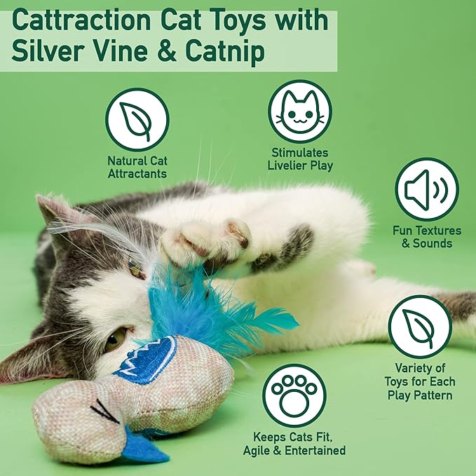 Cattraction with Silver Vine & Catnip Cat Toy Variety Pack, 20 Count