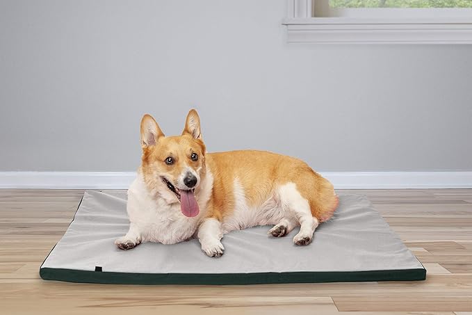 Furhaven Water-Resistant Dog Bed for Large/Medium Dogs w/ Removable Washable Cover, Perfect for Crates & Kennels, For Dogs Up to 70 lbs - Two-Tone Reversible Crate Pad - Green/Gray, Large