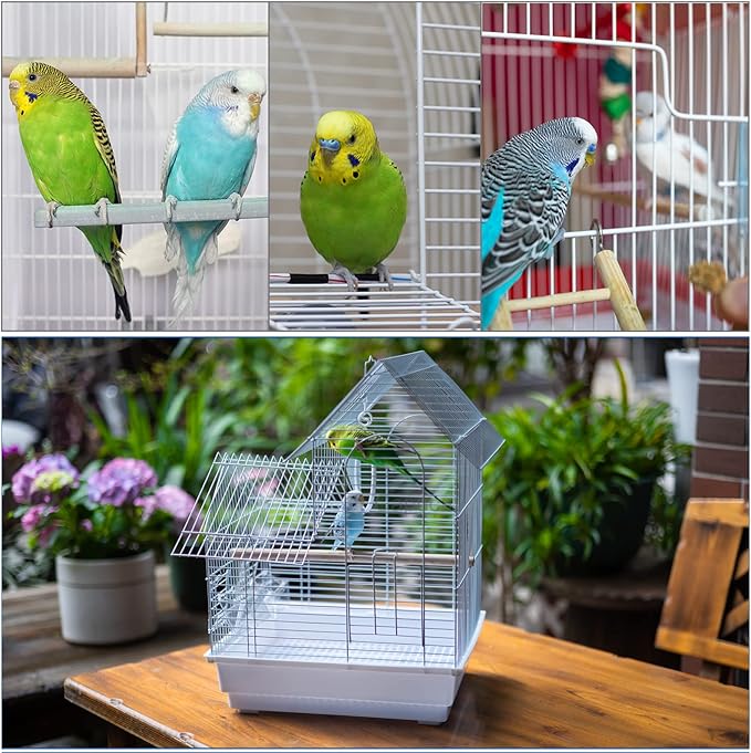 Small Bird Travel Cage - The Lightweight Small Birds Starter Kit with Birdcages and Accessories Great for Parakeets Lovebirds Parrotlets Finches Canaries