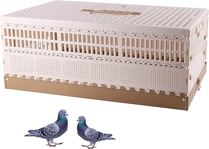 Plastic Folding Pigeon Cage, Portable Pet Bird Travel Cage Carrier Pigeon Cage Pairing Cage Pigeon Nest Box Easy to Clean for Training and Release Competition (L)