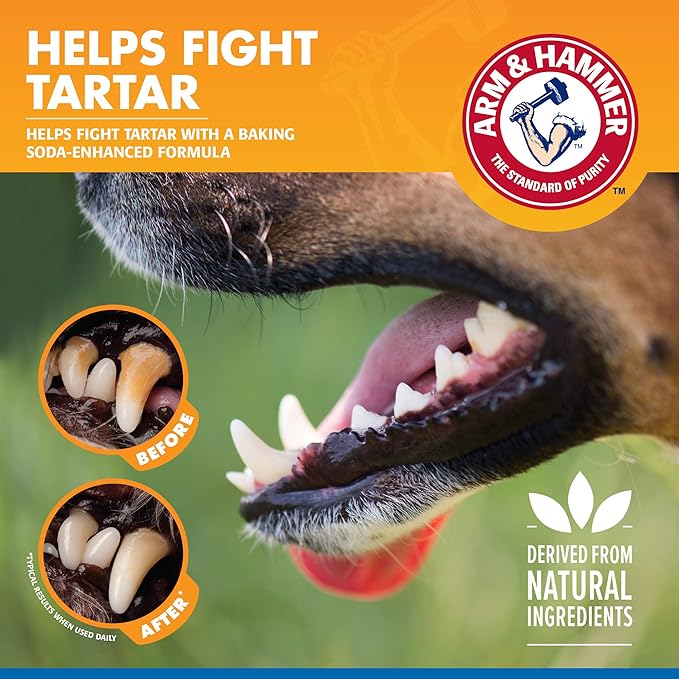 Arm & Hammer for Pets Dental Water Additive for Dogs, Tartar Control | Dog Dental Care Reduces Plaque & Tartar Buildup Without Brushing | 16 Ounces - 24 Pack, Odorless and Flavorless