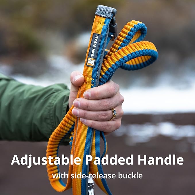 Ruffwear, Roamer Bungee Dog Leash for Running, Biking or Hiking, Can be Used Hand-Held or Hands-Free, River Rock Green, 7.3'-11'