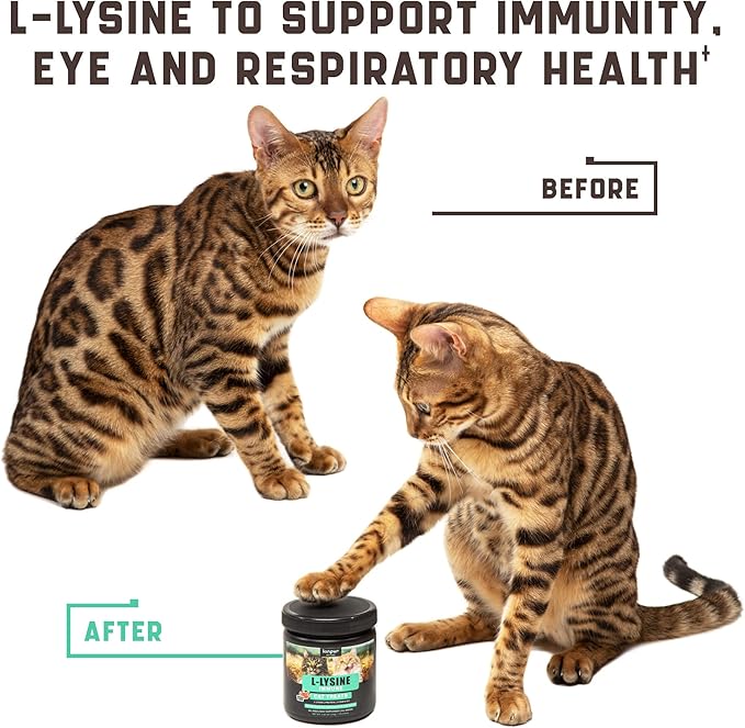 Lysine Cat Treats - Cat Immune Support - Help Improve Respiratory Health and Eye Function - Enriched with Vitamin B, Calcium, Protein