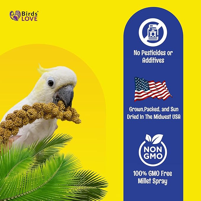 Birds LOVE Economy & Thin Special Spray Millet GMO-Free (No Stems Only Edible Tops) for Birds Cockatiel Lovebird Parakeet Finch Canary All Parrots Healthy Treat - 2lbs