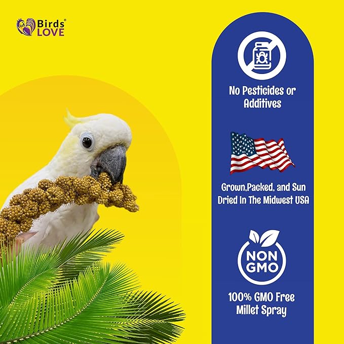 Birds LOVE Economy & Thin Special Spray Millet | GMO-Free (No Stems Only Edible Tops) for Birds Cockatiel, Lovebird, Parakeet, Finch, Canary All Parrots Healthy Treat 7 oz -Pack of 2