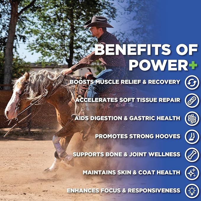 Power+ Horse Supplement (174g/0.38lbs - 30 Servings) - 9 Equine Amino Acids Plus Probiotics for Horses - No Added Sugar, No Soy, No Fillers - Horse Joint Support Supplement