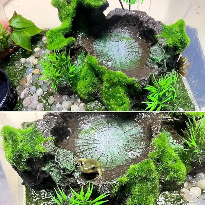 Reptile Feeding Bowl Resin Turtle Food Water Dish Terrarium Tank Decor with Artificial Plants for Lizard Gecko Chameleon Frog Spider