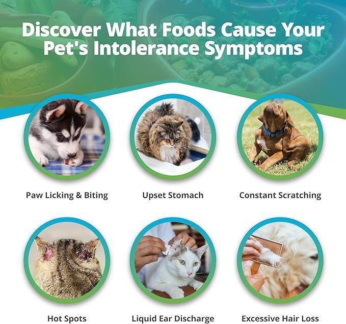 5Strands Pet Food Intolerance Test, at Home Sensitivity Test for Dogs & Cats, 272 Items, Hair Analysis, Accurate for All Ages and Breed, Results in 5 Days - Protein, Grain, Preservatives