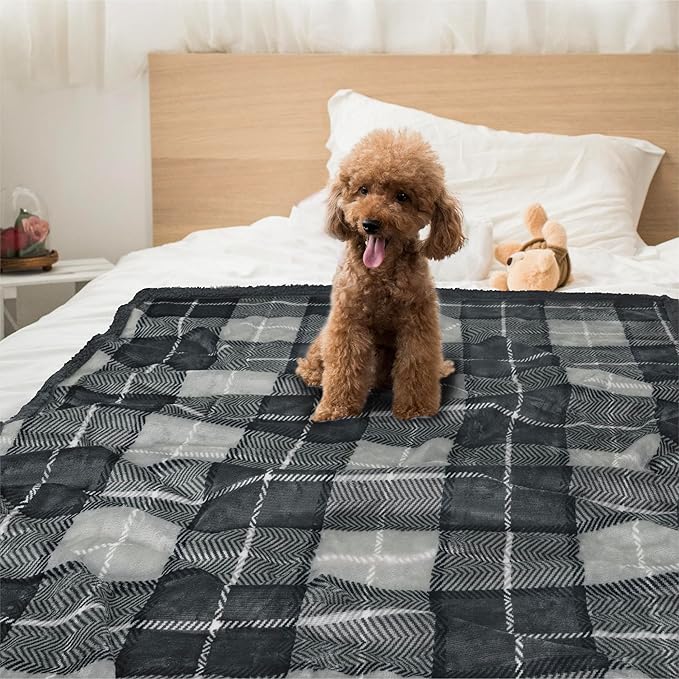 PetAmi Waterproof Dog Blanket for Small Medium Dog, Pet Puppy Blanket Couch Cover Protection Sherpa Fleece Cat Blanket Couch Sofa Bed Furniture Protector Reversible Soft Washable 29x40 Plaid Charcoal
