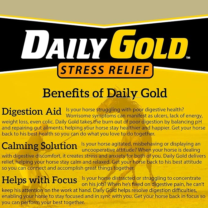 Redmond Daily Gold Natural Healing Clay for Gastric Ulcers in Horses (Stress Relief Pre-Race Paste) (3 - Pack)