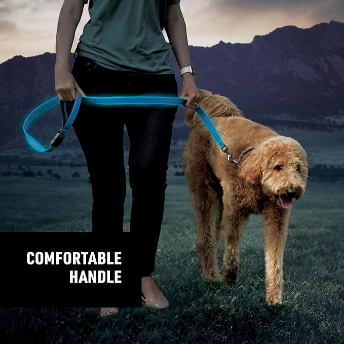 Nite Ize NiteDog Rechargeable LED Leash - Rechargeable LED Light Dog Leash with Padded Handle - Dog Walking Accessories for Walking & Running - 5 Feet, Blue