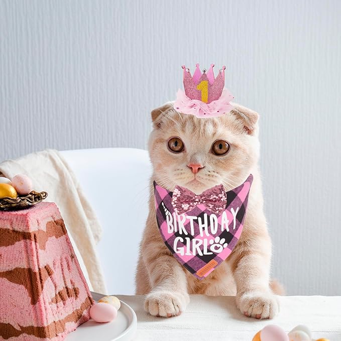 ADOGGYGO Cat Birthday Party Supplies, Birthday Girl Plaid Cat Bandana Cute Cat Bowtie, Cat Birthday Hat with Numbers, Pet Birthday Outfit for Cat Kitten (Pink)