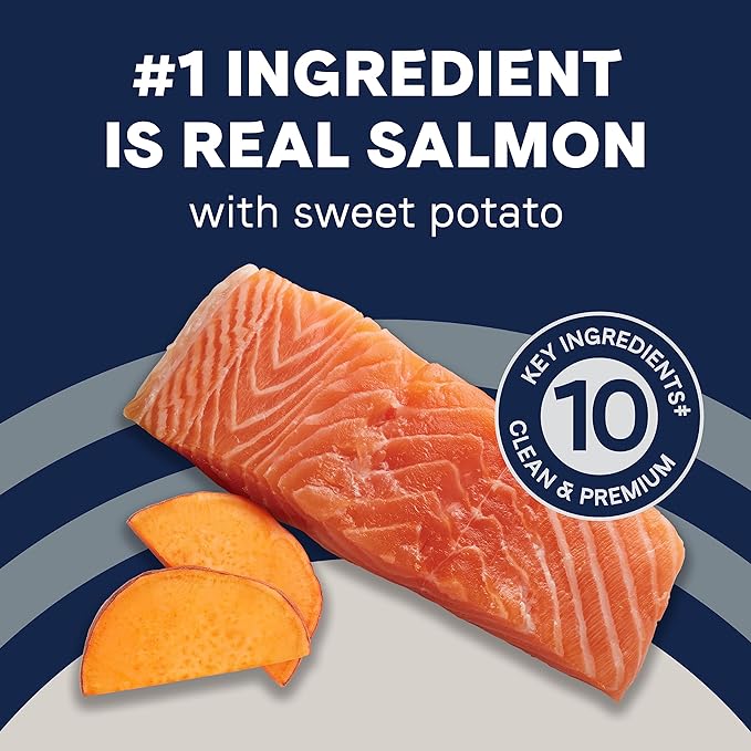Canidae Pure Real Salmon & Sweet Potato Recipe Adult Dry Dog 22 LB