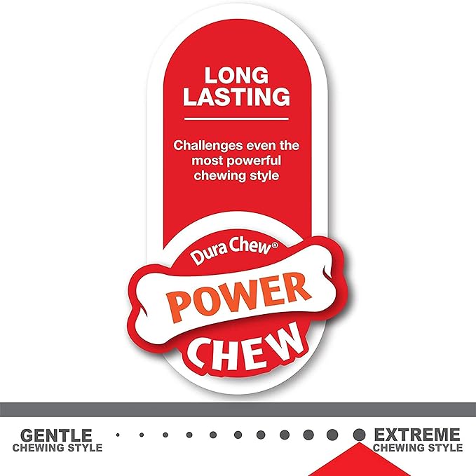 Nylabone Power Chew Flavor Frenzy Bone Chew Toy for Dogs, Indestructible Chew Toys for Aggressive Chewers, Chili Cheese Dog, & Popcorn & Cherry Flavor, Small/Regular - Up to 25 Ibs. (3 Count)