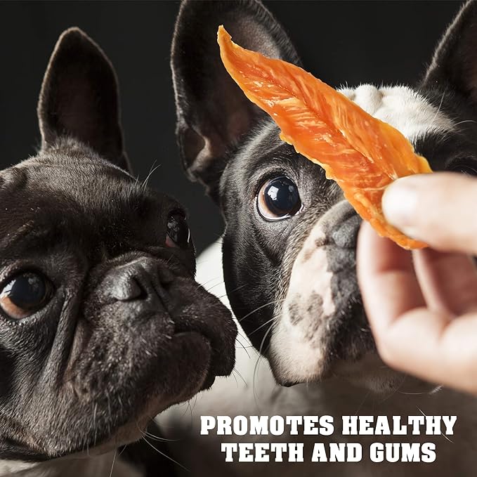 Chicken Jerky Dog Treats 1.5 Lb - Human Grade Pet Snacks & High Protein Meat - All Natural High Protein Dried Strips - Best Chews for Training Small & Large Dogs - Bulk Soft Pack Made for USA