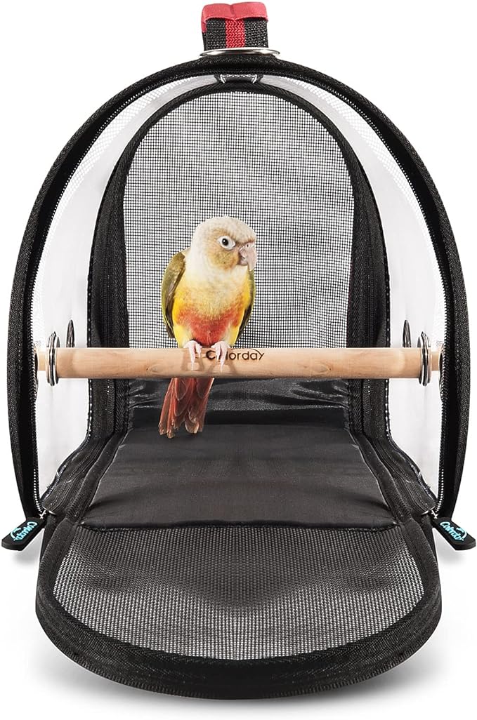 Lightweight Bird Carrier for Travelers, Bird Travel cage with Parrot Feeder Cups & Standing Perch and Tracy (Medium 16 x 9 x 11, Red) Patented Product