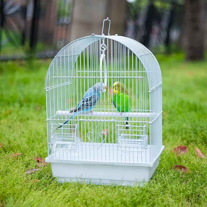 Small Bird Travel Cage - Lightweight Small Birds Starter Kit with Birdcages and Accessories Great for Parakeets Lovebirds Parrotlets Finches Canaries