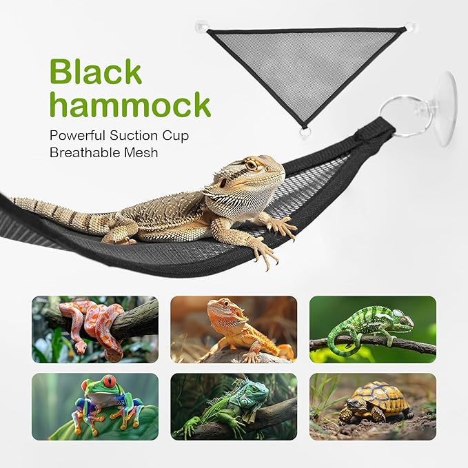 Reptile PC Terrarium Amphibian Tank Starter Kit Habitat Cage 9.4x19.2x7.8inch Suitable for breeding Lizards, Turtles, Snakes, Chameleons,Jumping Spiders