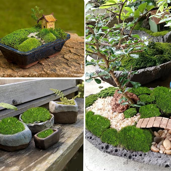 Preserved Pillow Moss Bulk Green Moss Balls for Bowls Waterproof 1.08 sq.ft Natural Green Decorative Preserved Pole Moss Pillow for Wall Art Terrariums Crafts Fairy Gardens Pot Plants Easter
