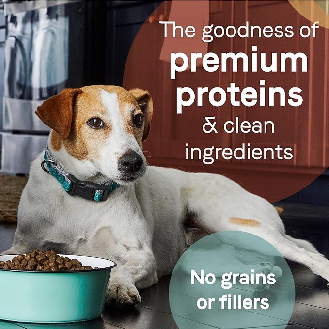 Canidae Pure Real Lamb & Pea Recipe Adult Dry Dog 22 LB