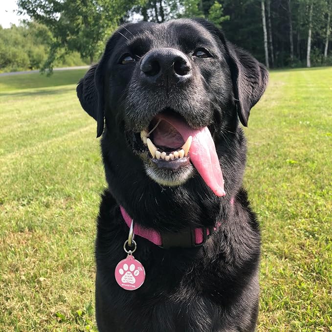 MYLUCKYTAG NFC & QR Code Smart Pet ID Tag Personalized Dog Cat Tag, Online Pet Profile, Pet Location Alert Email