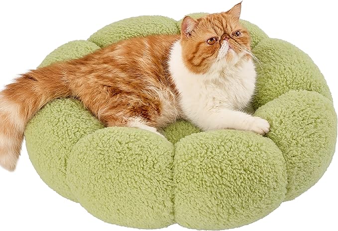 Lesure Calming Cat Beds for Indoor Cats - Cute Flower Pet Beds in Teddy Sherpa Plush, Donut Round Fluffy Puppy Bed, Non-Slip Extra Small Dog Bed Fits up to 15 lbs, Machine Washable, Green 20"