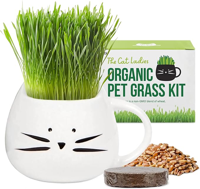 The Cat Ladies Organic Cat Grass for Indoor Cats - Growing Kit with Organic Seed Mix, Soil and White Cat Planter. Natural Hairball Control and Digestion Remedy, Cat Gifts