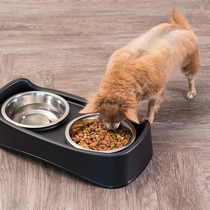 IRIS USA Elevated Dog Bowls, Adjustable Height, 2 Thick 64 oz Stainless Steel Bowls, Spill-Proof with Raised Outer Rim, Durable Made in USA Plastic, Easy Assemble, 2 Heights 4.63" or 12.25" Black