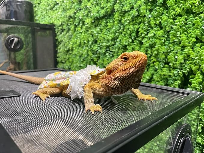 Lizard Dress for Bearded Dragon - Handmade Cotton Tutu Skirt with Lace Princess Sundress Halloween Costume Photo Cosplay Party for Reptile Lizard Bearded Dragon Crested Gecko Chameleon (M, Yellow)