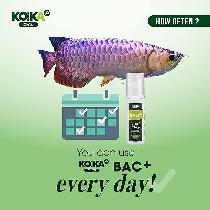 BAC+ Aquarium Probiotics, Immunity Boosting, Disease Resistance & Improve The Digestive System (BAC+,120ml)