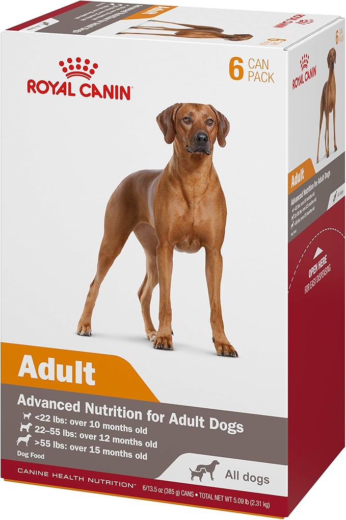 Royal Canin Canine Health Nutrition Adult In Gel Canned Dog Food, 13.5 oz can (6-pack)