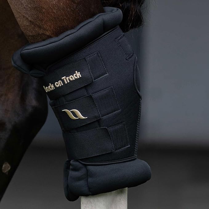 BACK ON TRACK Royal Padded Hock Boots Deluxe with Holes