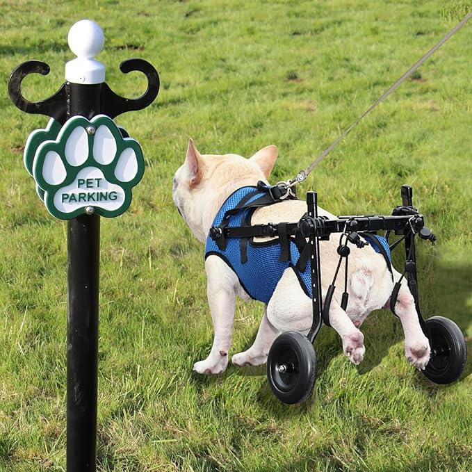 Dog Wheelchair for Back Legs Adjustable Dog Wheelchairs with 2 Wheels Pet Doggy Wheelchairs with Disabled Hind Legs Walking-Dog Leg Brace and Hip Support,Light Weight (S)