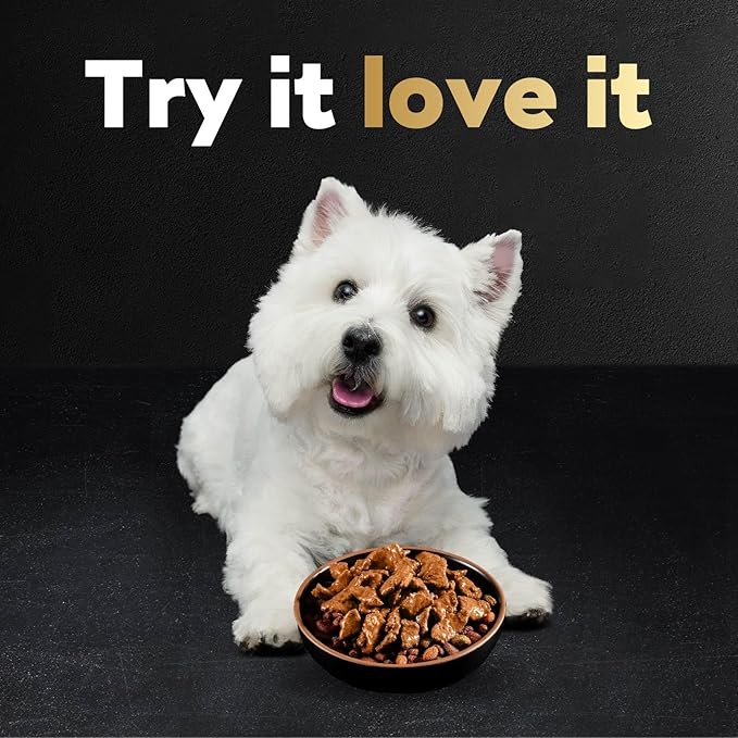 Cesar Filets in Gravy Wet Dog Food Filet Mignon Flavor, Rotisserie Chicken Flavor, and Wood-Grilled Chicken Flavor Variety Pack, 1.76 oz. Mini-Pouches, 40 Pack