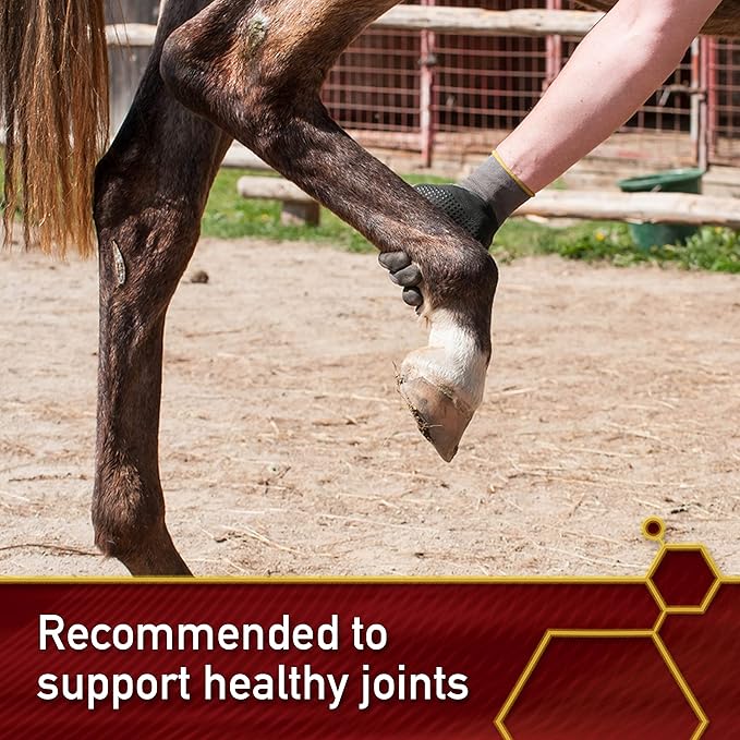 Pro Horse MSM Quality Joint Supplement, 4 Pounds