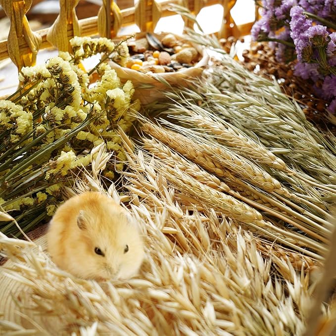 Natural Hamster Bedding, Hamster Sprays Sets and Forage, Organic Hamster Treats Chews Toys Bunny Herbs Flowers Grain Corn Seeds Sorghum Hamster Cage Accessories Enclosure Habitat Decor for Small Pets