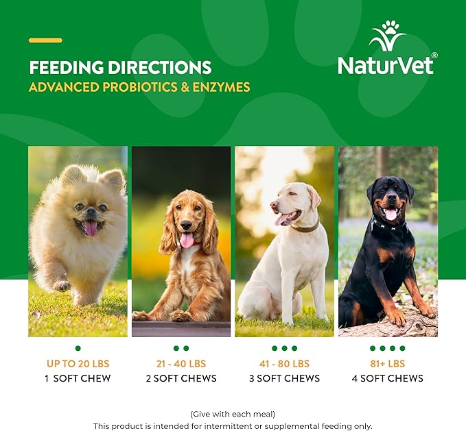 NaturVet – Advanced Probiotics & Enzymes - Plus Vet Strength PB6 Probiotic – Supports and Balances Pets with Sensitive Stomachs & Digestive Issues – for Dogs & Cats 240 ct