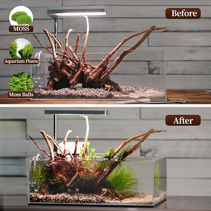 majoywoo Natural Large Driftwood for Aquarium Decor Reptile Decor, Assorted Spider Wood Branch 11-14" 2 Pcs, Fish Tank Decoration