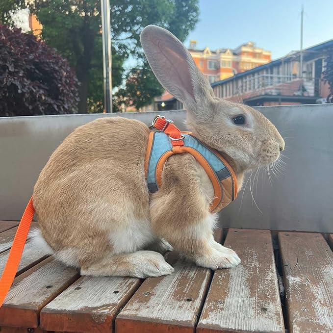 Adjustable Bunny Harness and Leash Set Double Buckle with Reflective Strips Rabbit Vest Pets Stuff Suitable for Rabbit Walks Accessories (Orange Green, M)