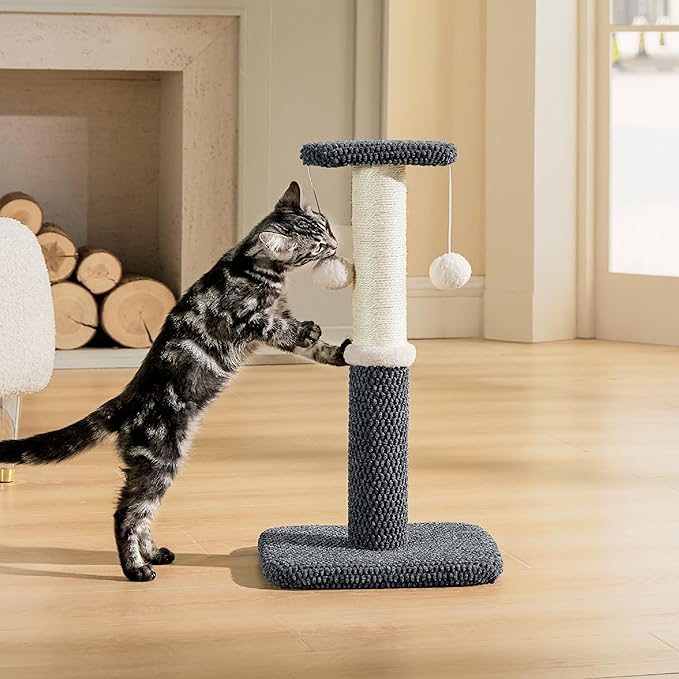 Lesure Cat Scratching Post for Indoor Cats - Highly Resistant Carpet Scratch Posts, Premium Sisal Rope Scratch Posts for Kittens, Sturdy Small Cat Scratch Pole with Hanging Ball, Grey(22.5 inch)