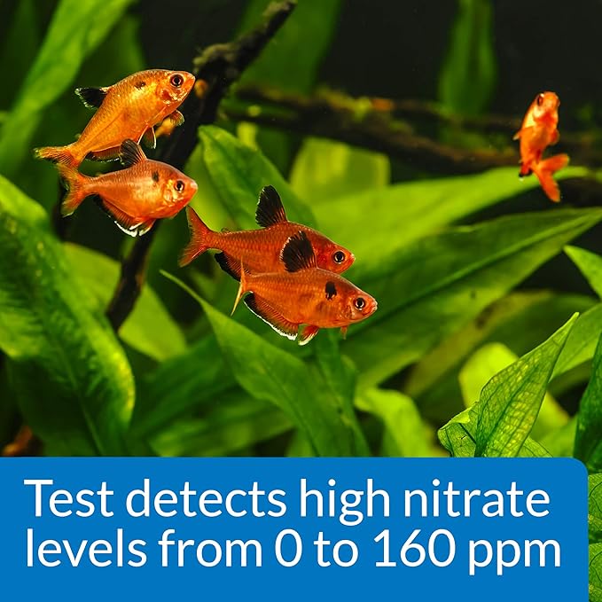 API NITRATE 90-Test Freshwater and Saltwater Aquarium Water Test Kit