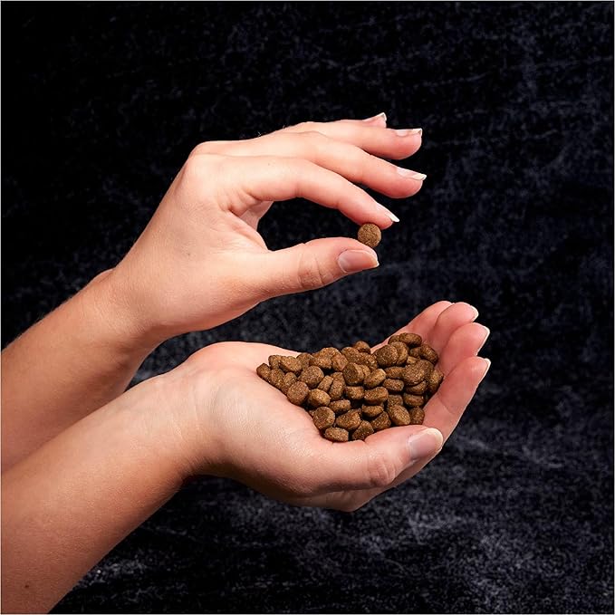 CRAVE Grain Free High Protein Adult Dry Dog Food, Beef, 22 lb. Bag