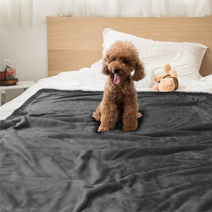 PetAmi Dog Blanket for Medium Large Dogs, Pet Bed Blanket Cat Puppy Kitten, Fleece Furniture Couch Cover Protector Sofa Car, Soft Sherpa Dog Throw Plush Reversible Washable, 40x60 Solid Dark Gray