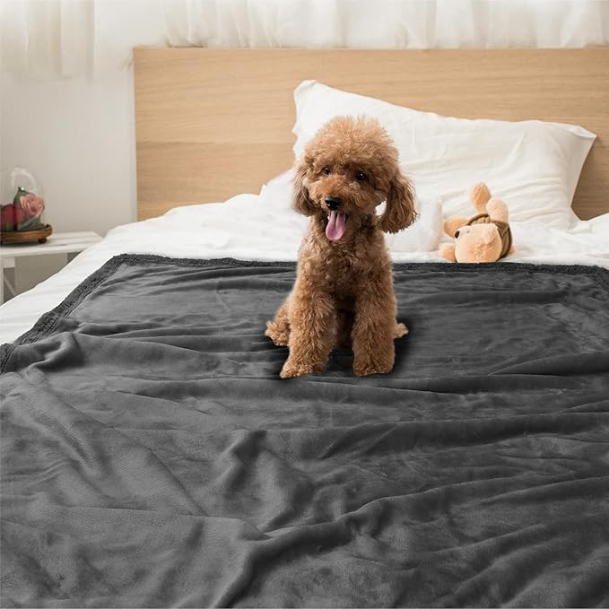 PetAmi Dog Blanket for Small Medium Dogs, Pet Bed Blanket Cat Puppy Kitten, Fleece Furniture Couch Cover Protector Sofa Car, Soft Sherpa Dog Throw Plush Reversible Washable, Mini 29x40 Solid Dark Gray