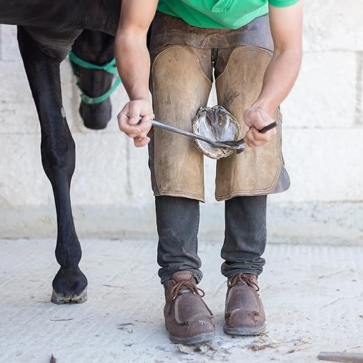 SURGICAL ONLINE Premium Hoof Tester for Horses - 13" Size, Veterinary-Grade, Surgical Stainless Steel, Autoclavable, Corrosion-Resistant