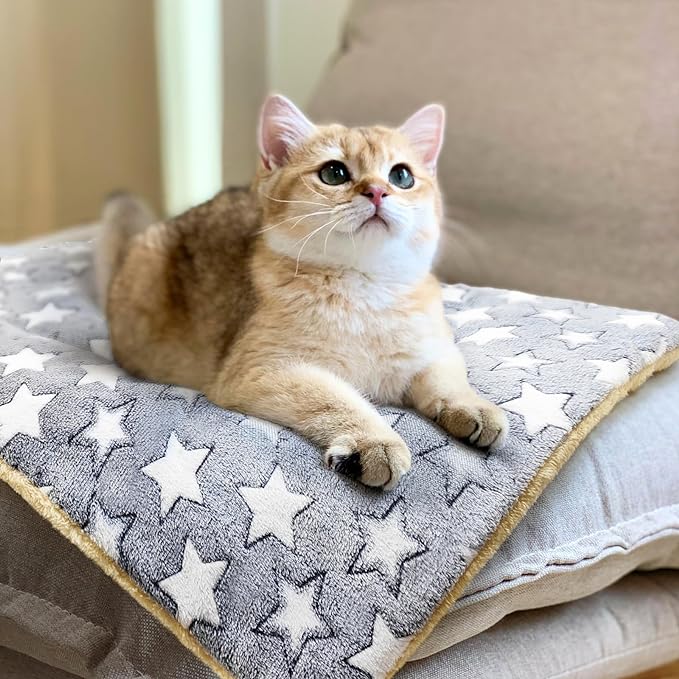 2 Pack Cat Blanket for Indoor Cats Ultra Soft and Warm Calming Cat Bed Fleece Pet Mat for Anxiety and Stress Washable Kitten Blanket