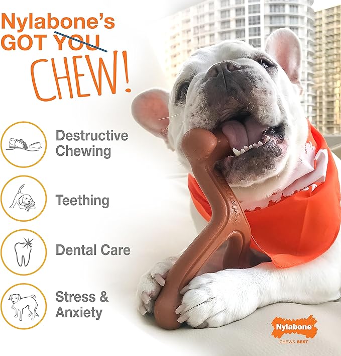 Nylabone Power Chew Flavor Frenzy Bone Chew Toy for Dogs, Indestructible Chew Toys for Aggressive Chewers, Funnel Cake & Shish Kabob Flavor, Large/Giant - Up to 50 lbs. (2 Count)