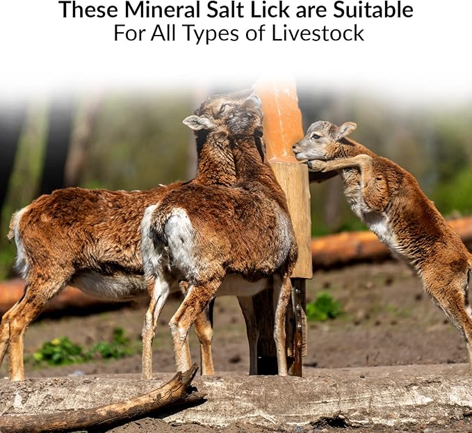 Himalayan Nature 100% Natural Himalayan Rock Deer Salt Block - Animal Licking Mineral Salt Block ,5 Lbs, 2x4x8 inch