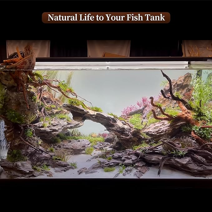 majoywoo Natural Large Driftwood for Aquarium Decor Reptile Decor, Assorted Spider Wood Branch 11-14" 2 Pcs, Fish Tank Decoration